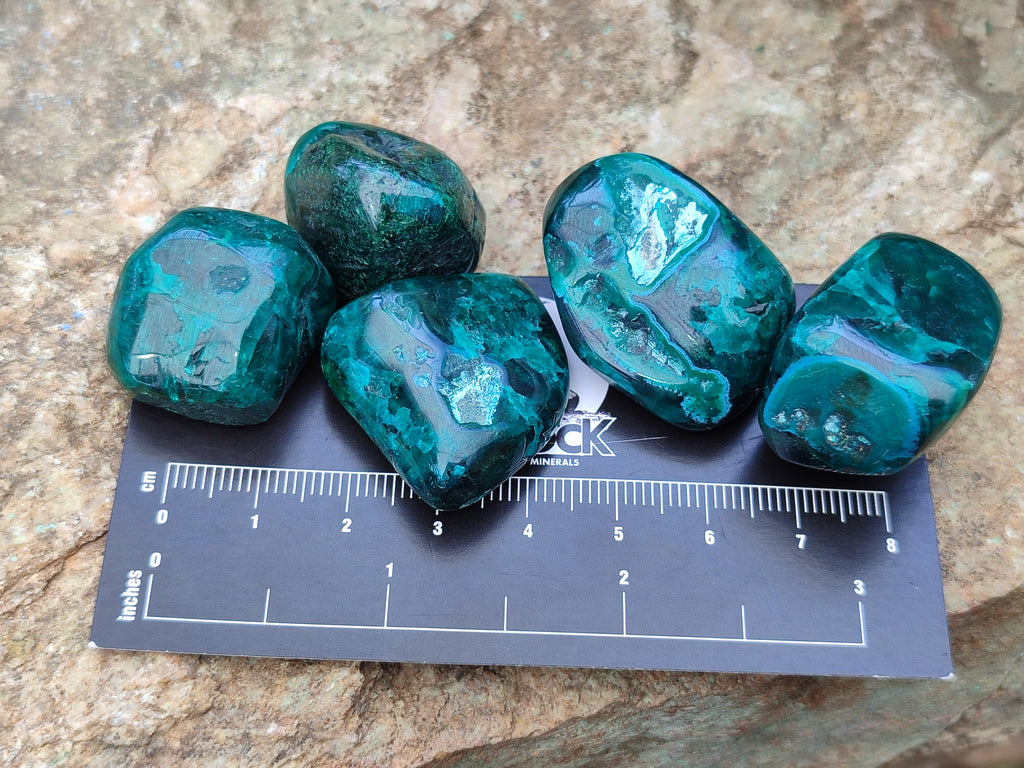 Polished Dioptase With Shattuckite and Malachite Free Forms - sold per item - From Congo - Toprock Gemstones and Minerals 