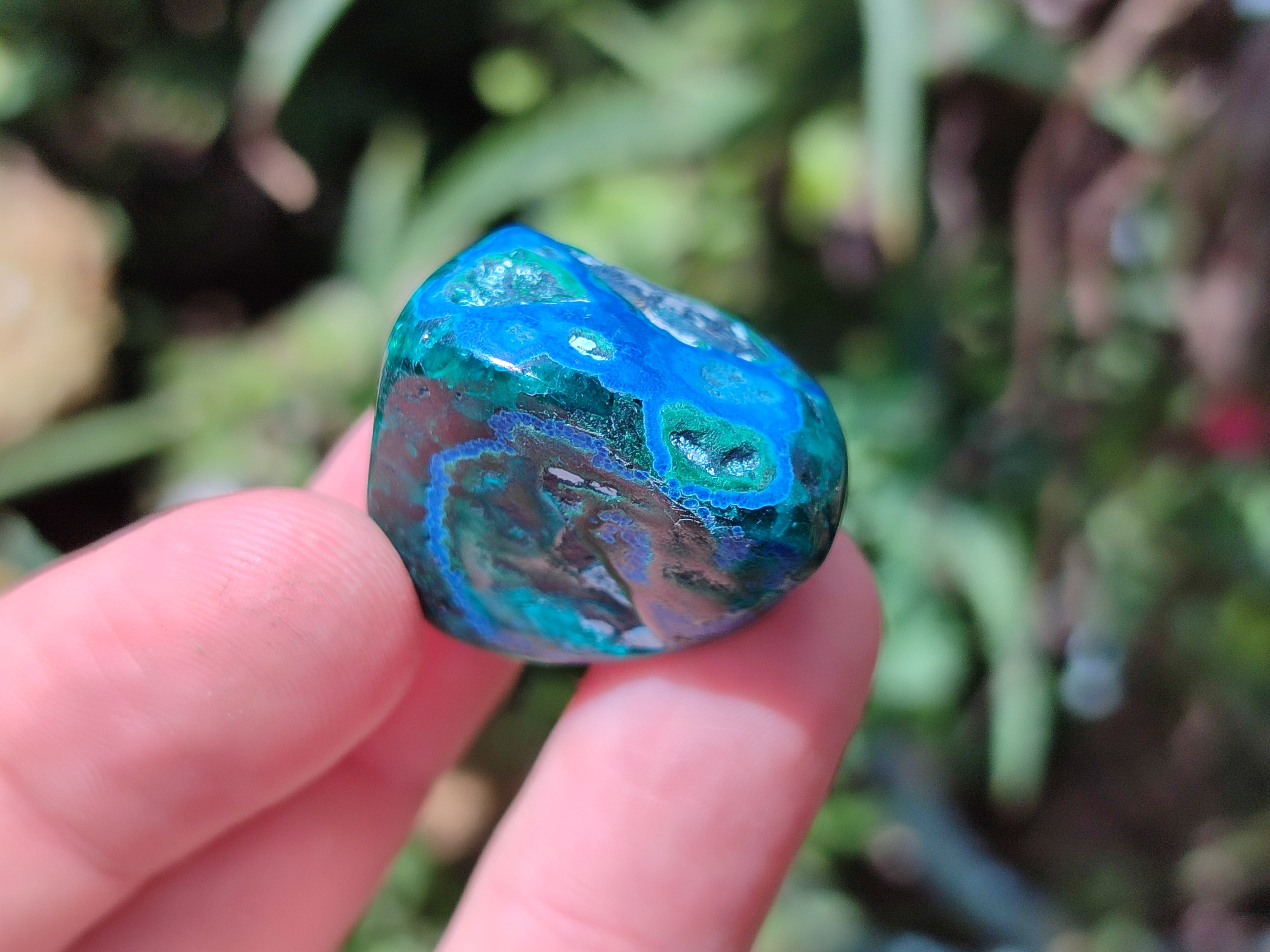 Polished Dioptase With Shattuckite and Malachite Free Forms - sold per item - From Congo - Toprock Gemstones and Minerals 