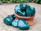 Polished Dioptase With Shattuckite and Malachite Free Forms - sold per item - From Congo - Toprock Gemstones and Minerals 