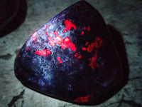 Polished Ruby Corundum In Chrome Verdite Free Forms x 6 From Zimbabwe - Toprock Gemstones and Minerals 