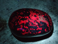 Polished Ruby Corundum In Chrome Verdite Free Forms x 6 From Zimbabwe - Toprock Gemstones and Minerals 