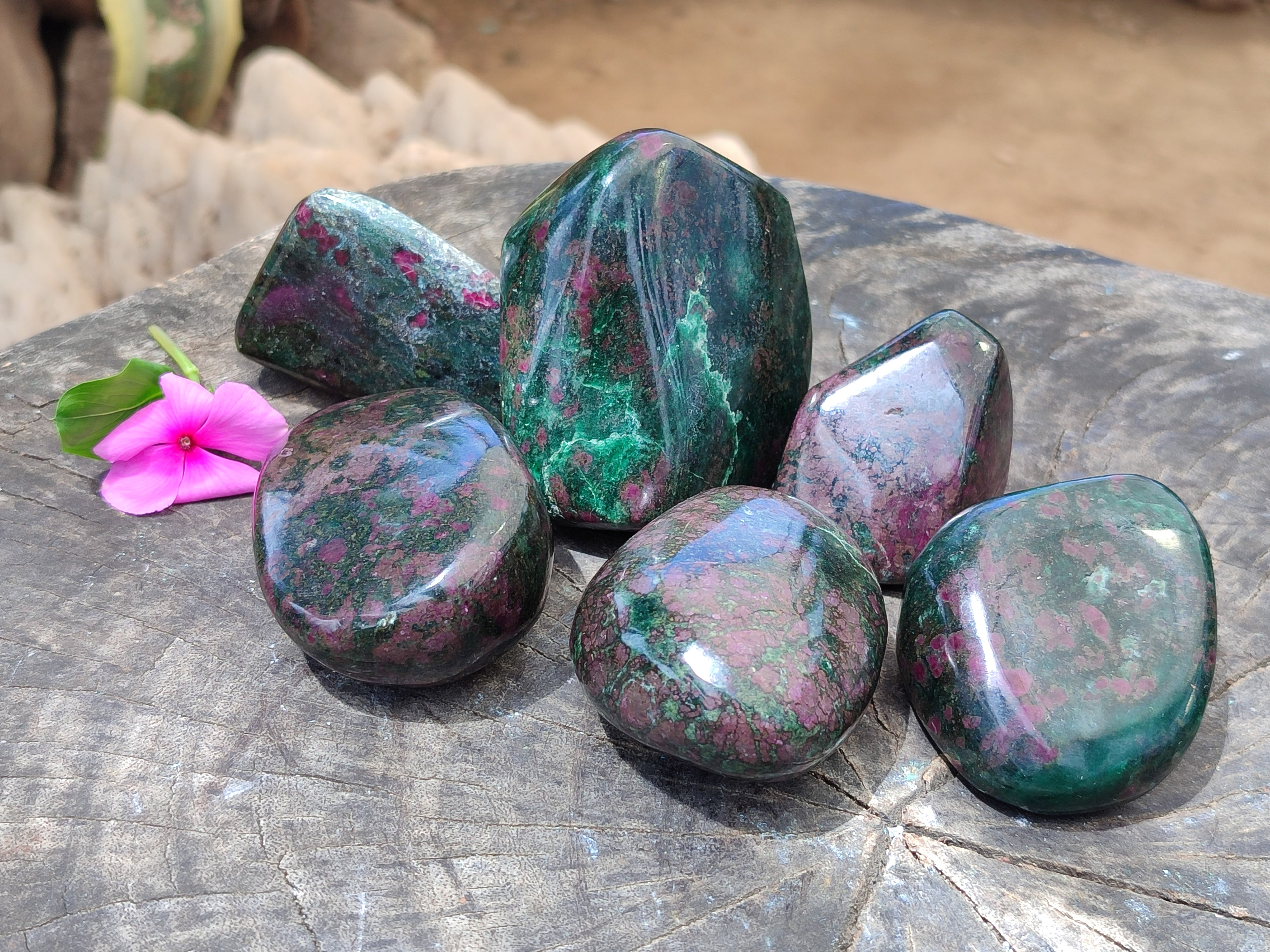Polished Ruby Corundum In Chrome Verdite Free Forms x 6 From Zimbabwe - Toprock Gemstones and Minerals 