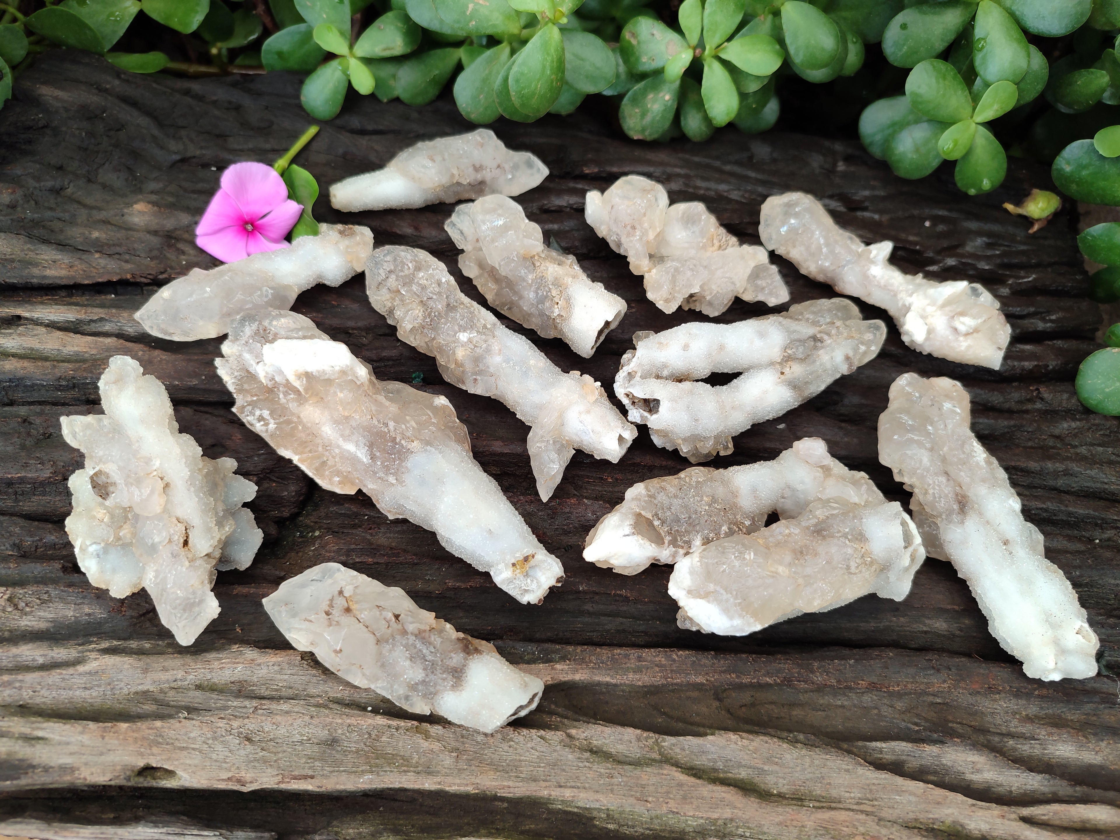 Natural Drusy Quartz Coated Calcite Pseudomorph Specimens x 12 From Alberts Mountain, Lesotho - Toprock Gemstones and Minerals 