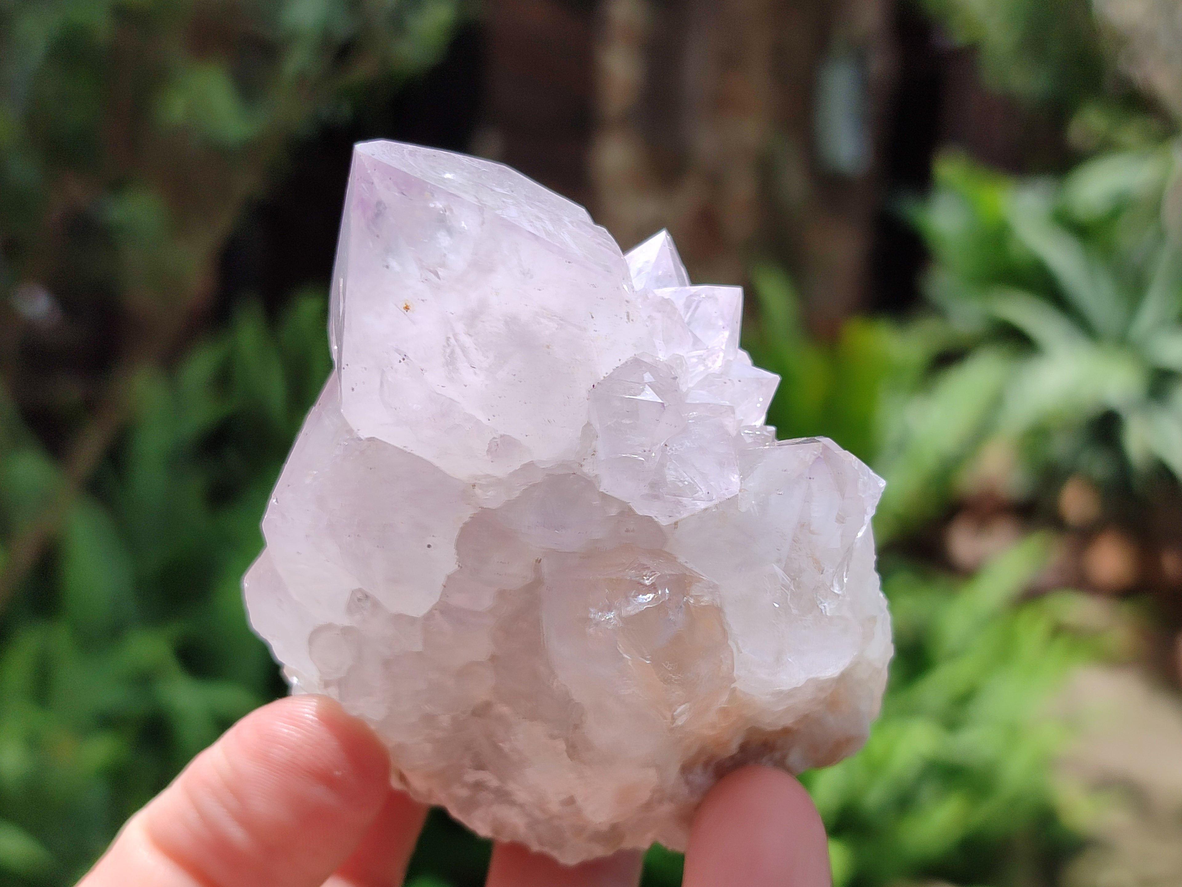 Natural Cactus Flower Spirit Quartz Clusters x 12 From South Africa - Toprock Gemstones and Minerals 