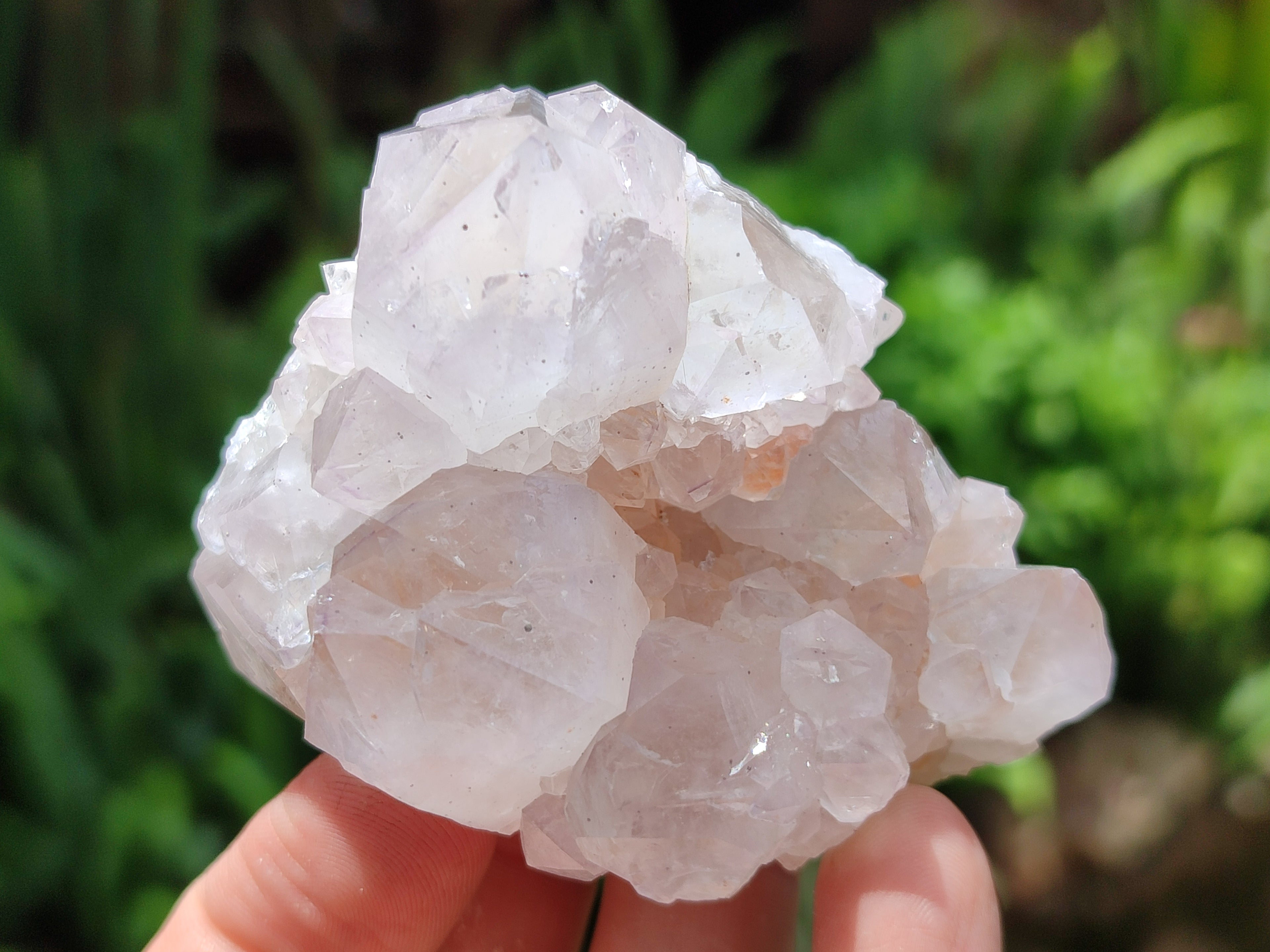 Natural Cactus Flower Spirit Quartz Clusters x 12 From South Africa - Toprock Gemstones and Minerals 