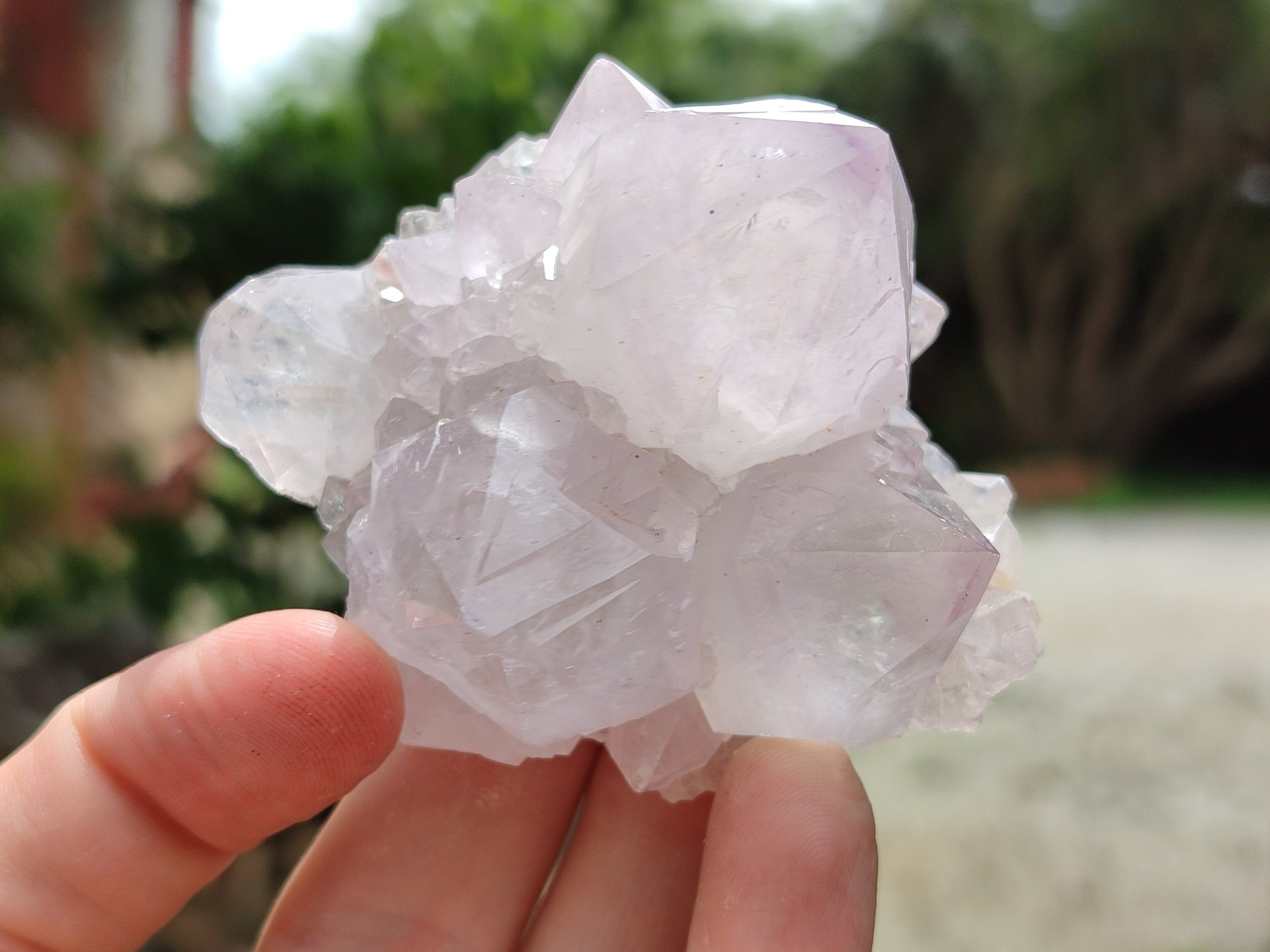 Natural Cactus Flower Spirit Quartz Clusters x 12 From South Africa - Toprock Gemstones and Minerals 