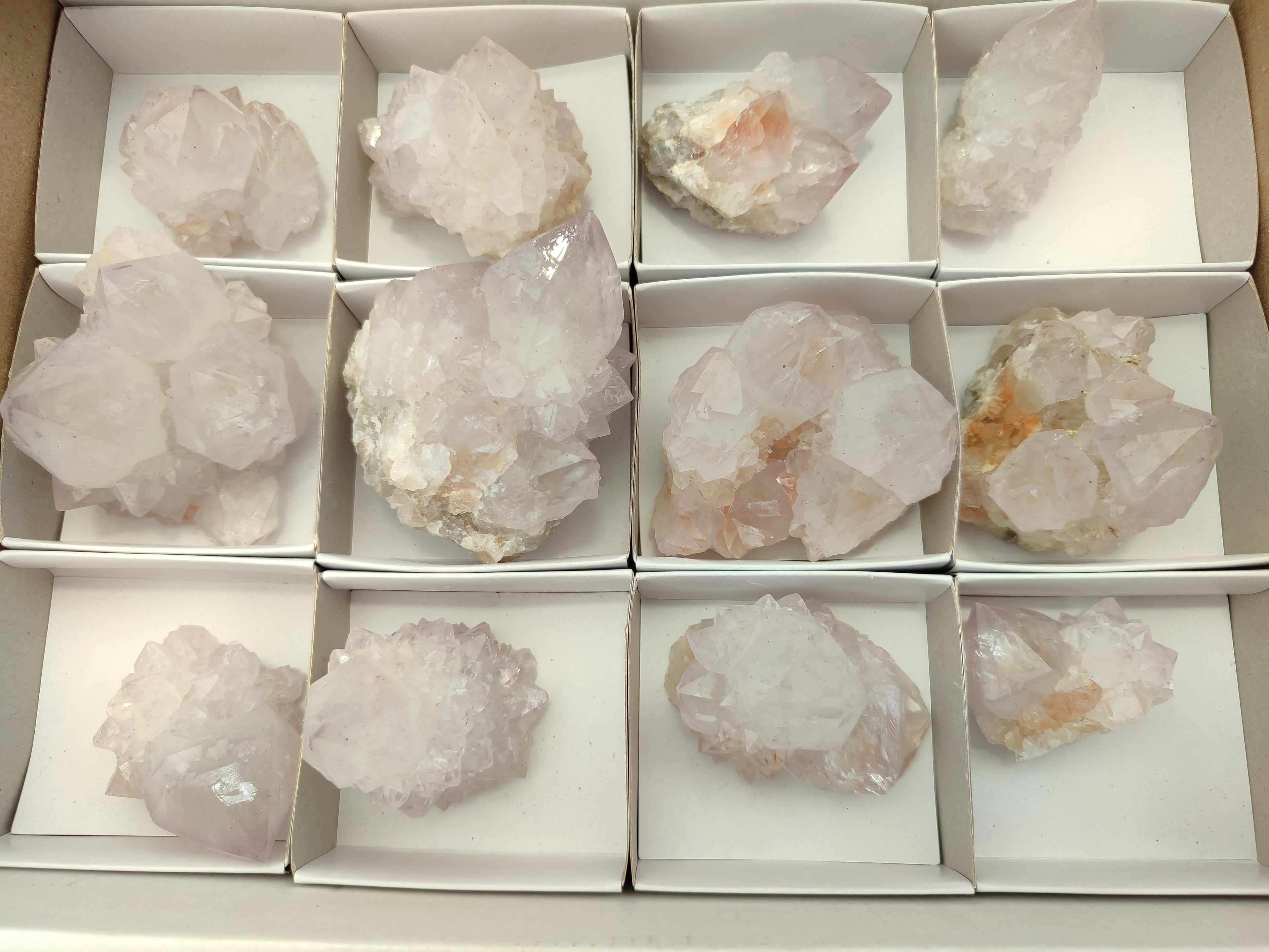 Natural Cactus Flower Spirit Quartz Clusters x 12 From South Africa - Toprock Gemstones and Minerals 