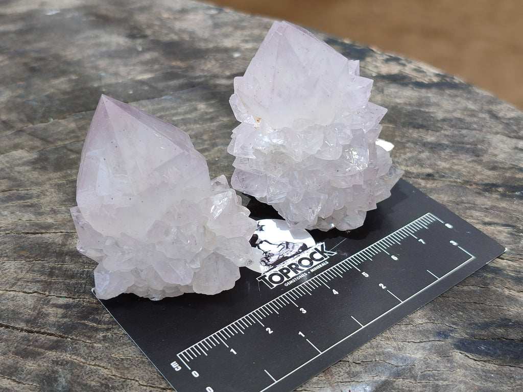 Natural Cactus Flower Spirit Quartz Clusters x 12 From South Africa - Toprock Gemstones and Minerals 