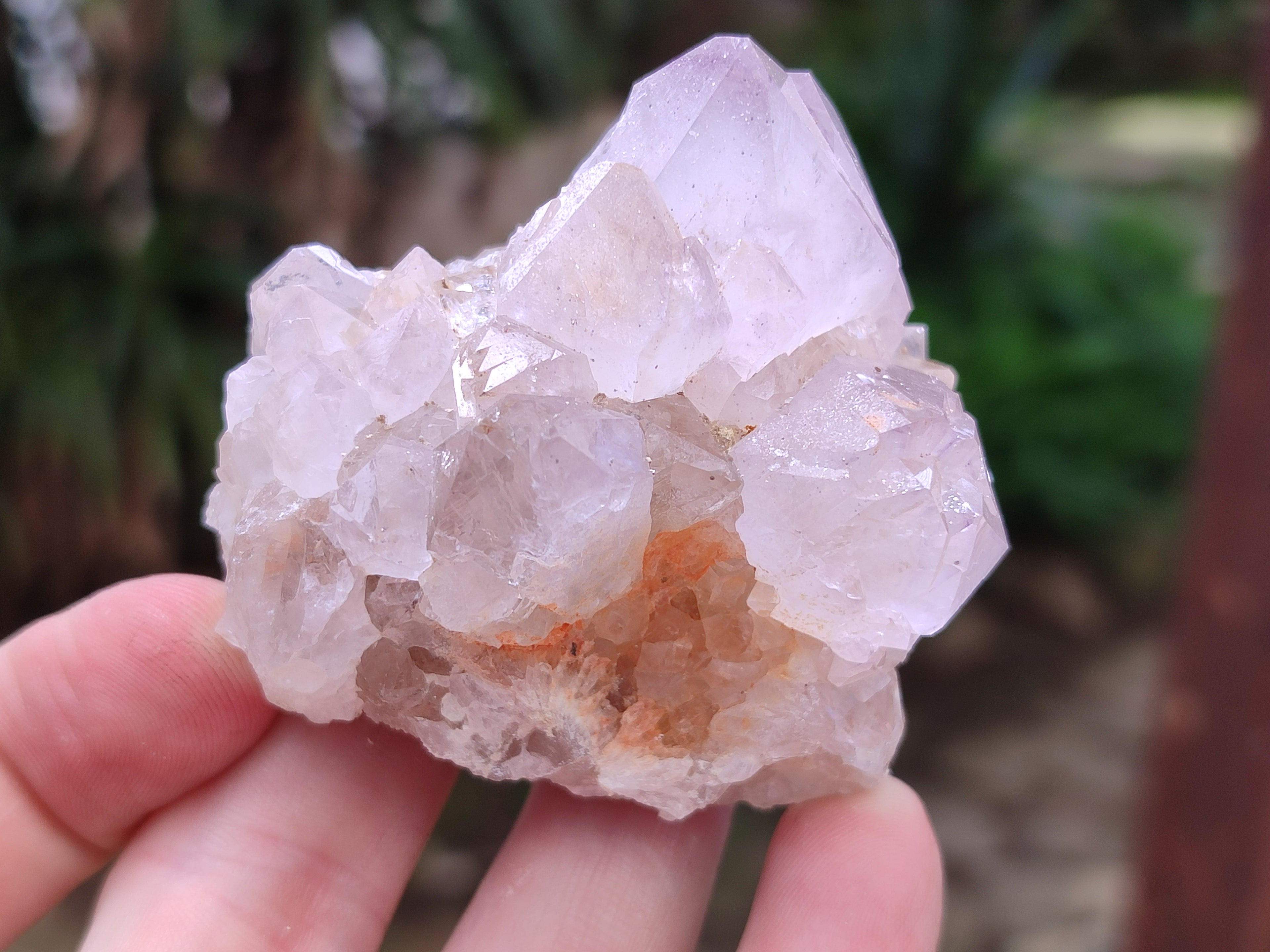 Natural Cactus Flower Spirit Quartz Clusters x 12 From South Africa - Toprock Gemstones and Minerals 