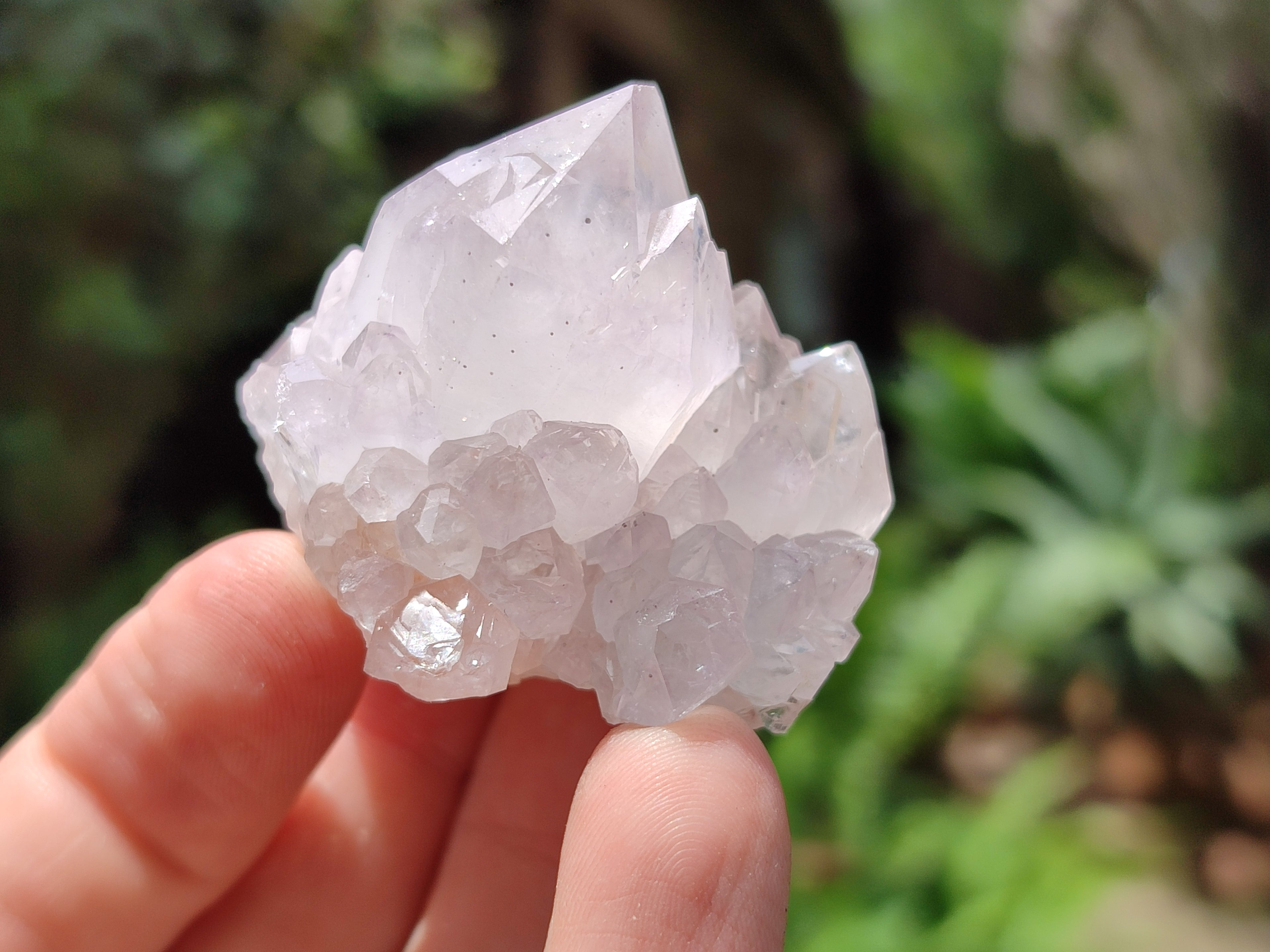 Natural Cactus Flower Spirit Quartz Clusters x 12 From South Africa - Toprock Gemstones and Minerals 