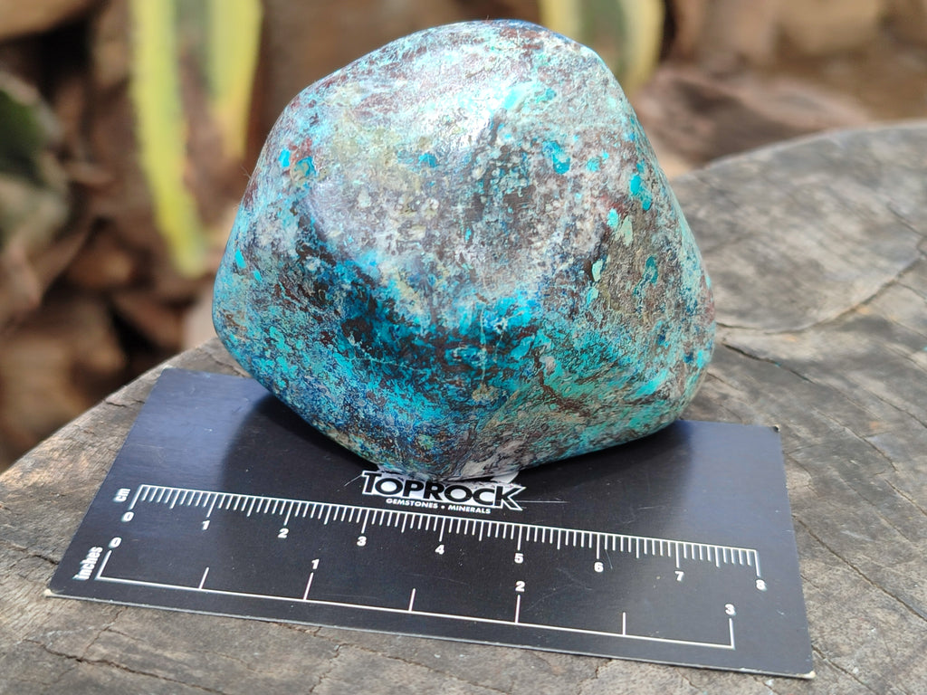 Polished Shattuckite With Chrysocolla and Azurite Free Forms x 6 From Congo - Toprock Gemstones and Minerals 