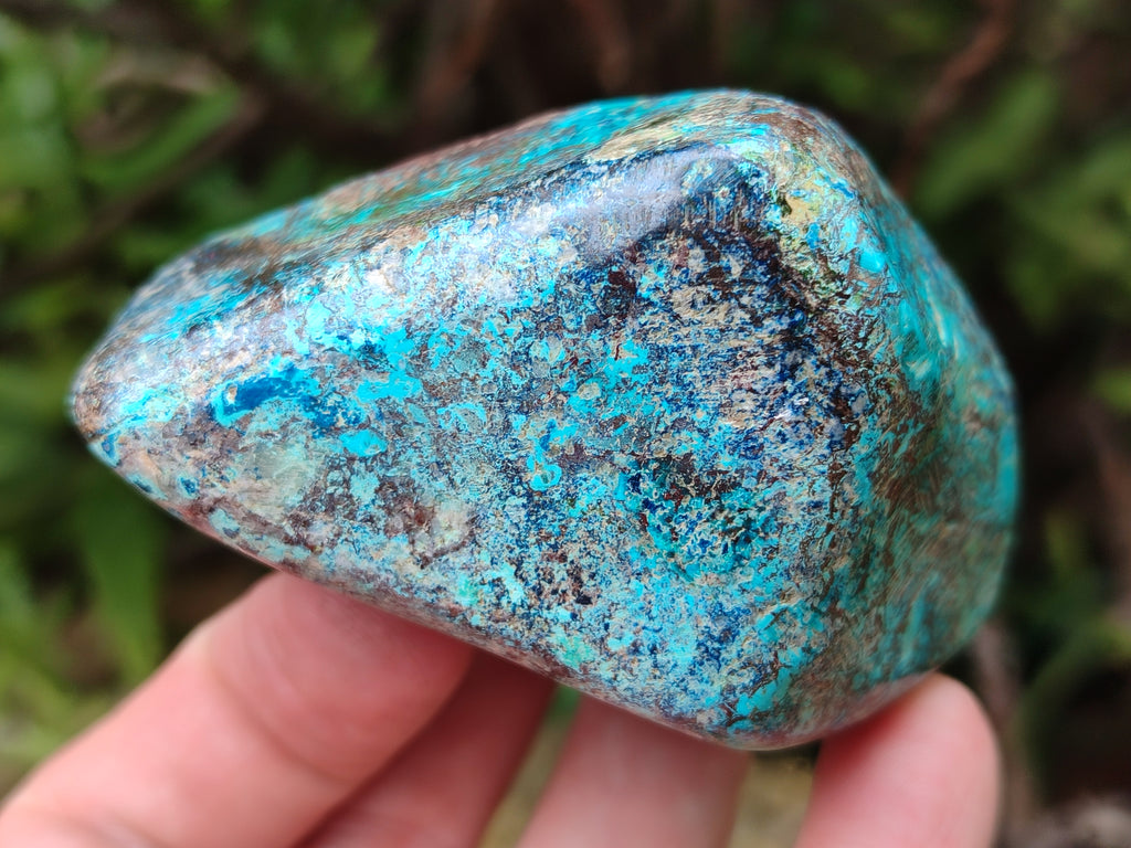 Polished Shattuckite With Chrysocolla and Azurite Free Forms x 6 From Congo - Toprock Gemstones and Minerals 