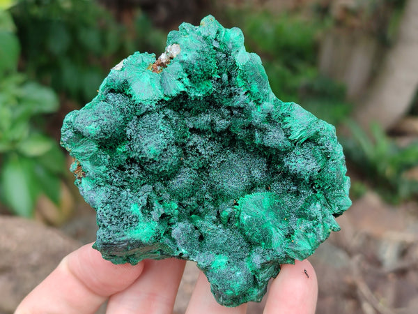 Natural Silky Malachite Specimens x 6 From Kasompe, Congo - Toprock Gemstones and Minerals 