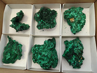 Natural Silky Malachite Specimens x 6 From Kasompe, Congo - Toprock Gemstones and Minerals 