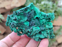 Natural Silky Malachite Specimens x 6 From Kasompe, Congo - Toprock Gemstones and Minerals 