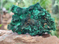 Natural Silky Malachite Specimens x 6 From Kasompe, Congo - Toprock Gemstones and Minerals 