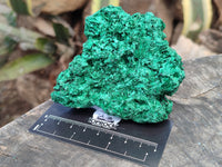 Natural Silky Malachite Specimens x 6 From Kasompe, Congo - Toprock Gemstones and Minerals 