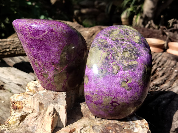 Polished Stichtite Standing Free Forms x 2 From Barberton, South Africa - Toprock Gemstones and Minerals 