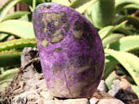 Polished Stichtite Standing Free Forms x 2 From Barberton, South Africa - Toprock Gemstones and Minerals 