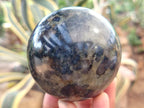 Polished Iolite Spheres x 4 From Ambatofinandrahana, Madagascar - Toprock Gemstones and Minerals 