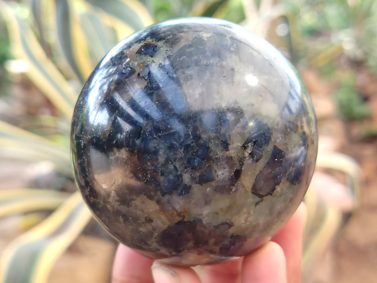 Polished Iolite Spheres x 4 From Ambatofinandrahana, Madagascar - Toprock Gemstones and Minerals 