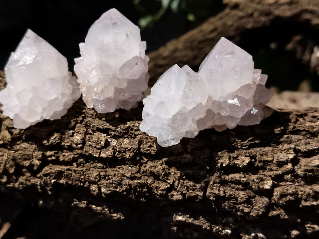 Natural Cactus Flower Spirit Quartz Clusters x 12 From South Africa - Toprock Gemstones and Minerals 