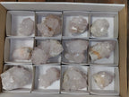 Natural Cactus Flower Spirit Quartz Clusters x 12 From South Africa - Toprock Gemstones and Minerals 