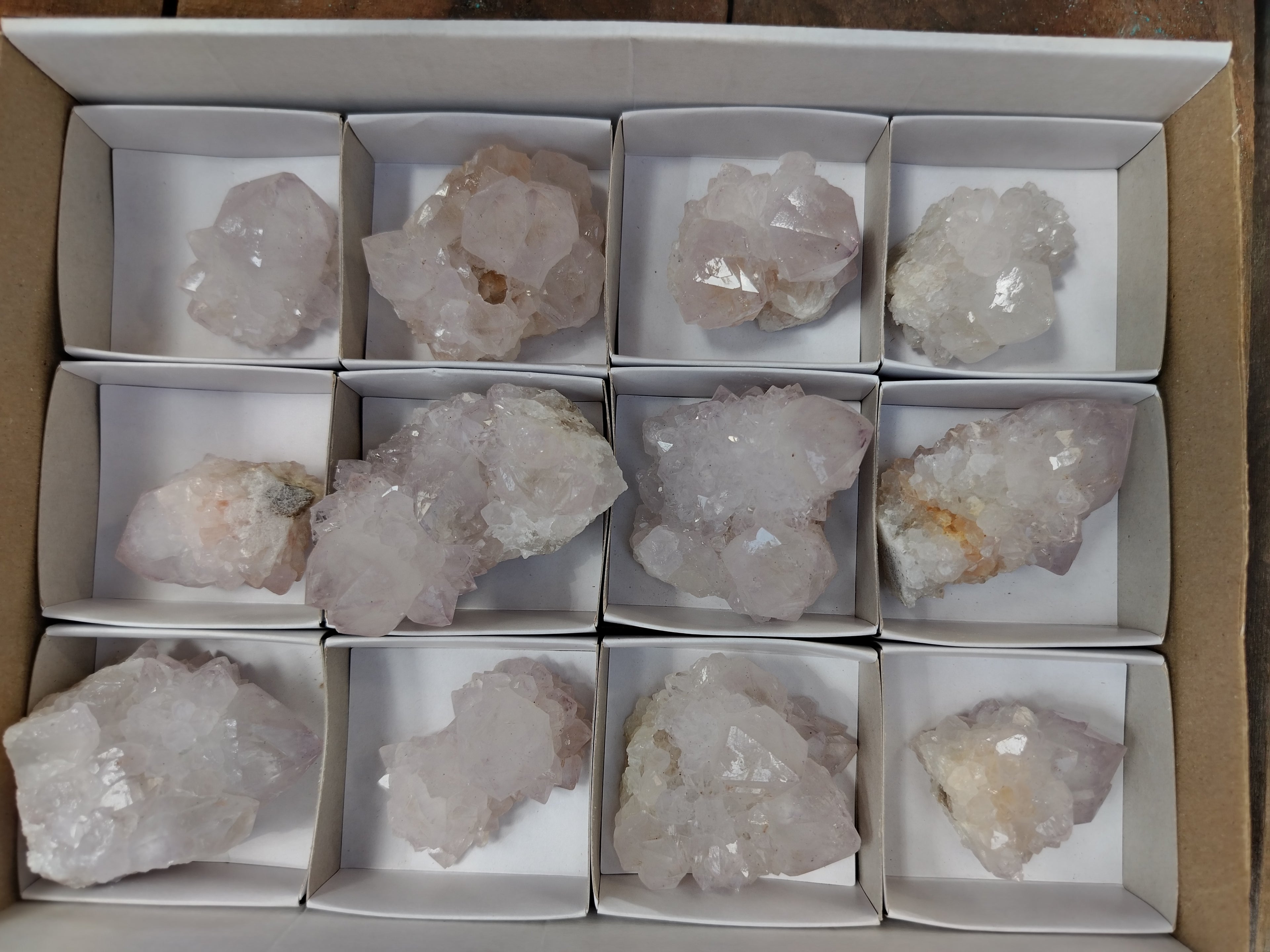 Natural Cactus Flower Spirit Quartz Clusters x 12 From South Africa - Toprock Gemstones and Minerals 