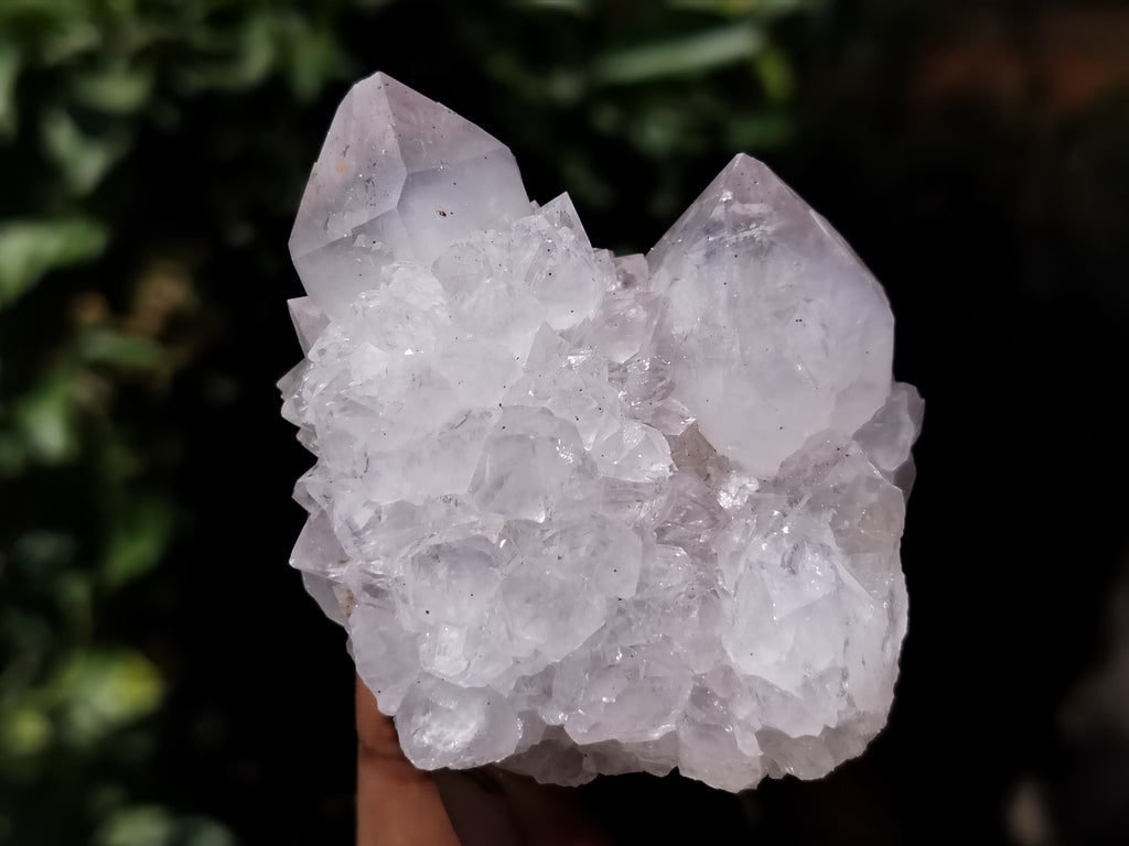 Natural Cactus Flower Spirit Quartz Clusters x 12 From South Africa - Toprock Gemstones and Minerals 