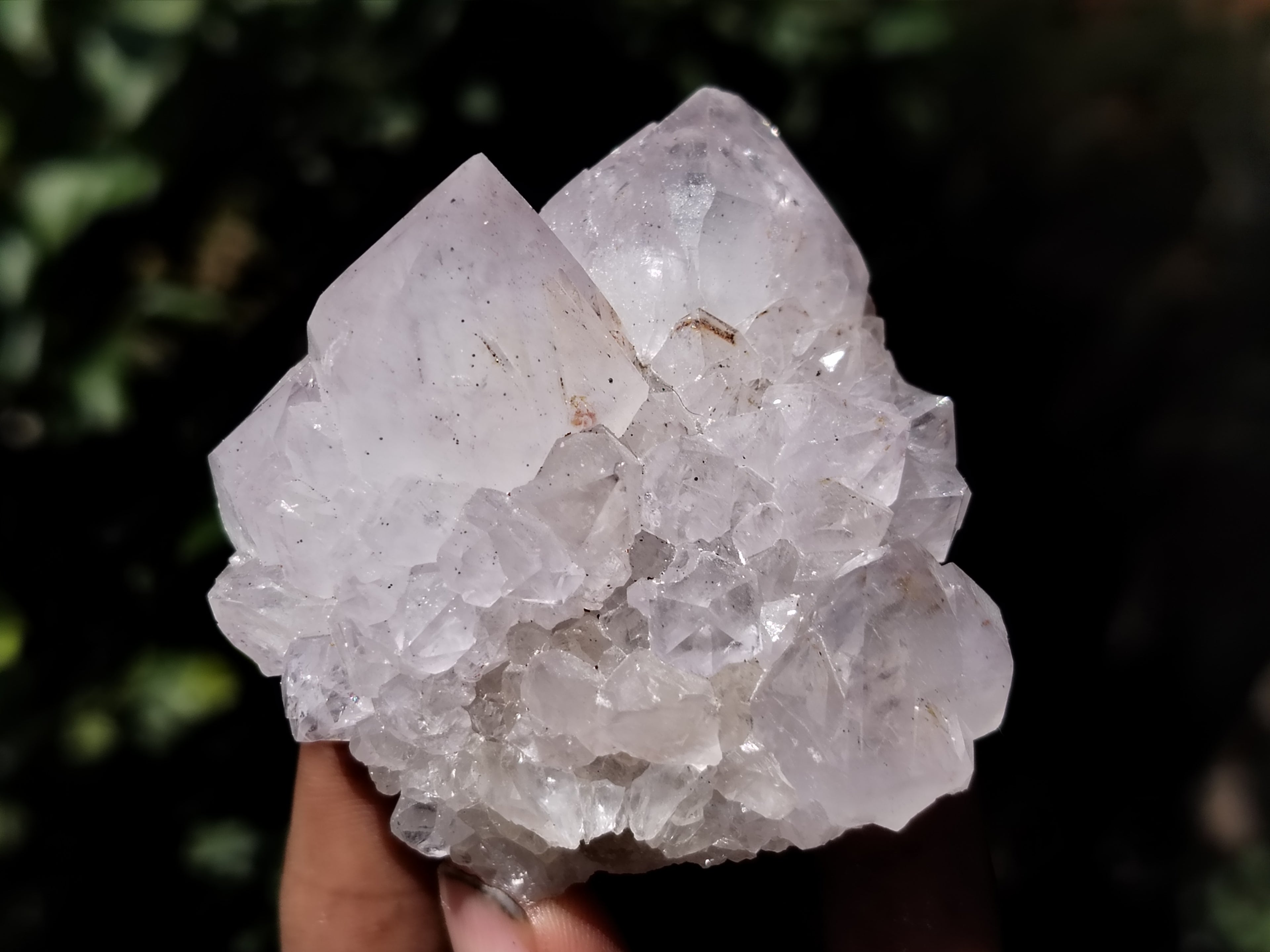 Natural Cactus Flower Spirit Quartz Clusters x 12 From South Africa - Toprock Gemstones and Minerals 