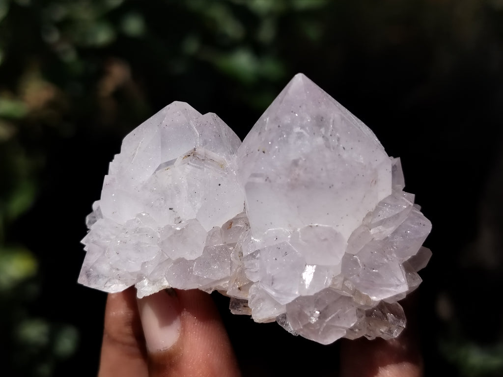 Natural Cactus Flower Spirit Quartz Clusters x 12 From South Africa - Toprock Gemstones and Minerals 