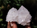 Natural Cactus Flower Spirit Quartz Clusters x 12 From South Africa - Toprock Gemstones and Minerals 