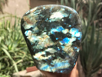 Polished Labradorite Standing Free Forms x 2 From Tulear, Madagascar - Toprock Gemstones and Minerals 