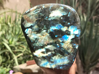 Polished Labradorite Standing Free Forms x 2 From Tulear, Madagascar - Toprock Gemstones and Minerals 
