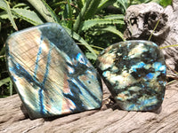 Polished Labradorite Standing Free Forms x 2 From Tulear, Madagascar - Toprock Gemstones and Minerals 