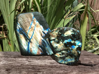 Polished Labradorite Standing Free Forms x 2 From Tulear, Madagascar - Toprock Gemstones and Minerals 