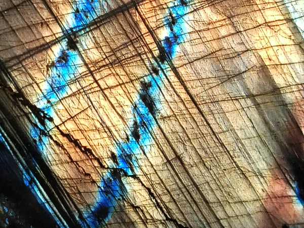 Polished Labradorite Standing Free Forms x 2 From Tulear, Madagascar - Toprock Gemstones and Minerals 