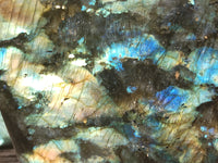 Polished Labradorite Standing Free Forms x 2 From Tulear, Madagascar - Toprock Gemstones and Minerals 