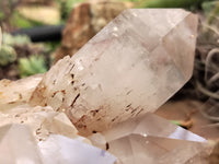 Natural Red Hematoid Quartz Clusters x 2 From Karoi, Zimbabwe - Toprock Gemstones and Minerals 