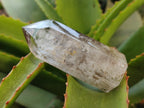 Polished Smokey Window Quartz Crystals x 6 From Madagascar - Toprock Gemstones and Minerals 