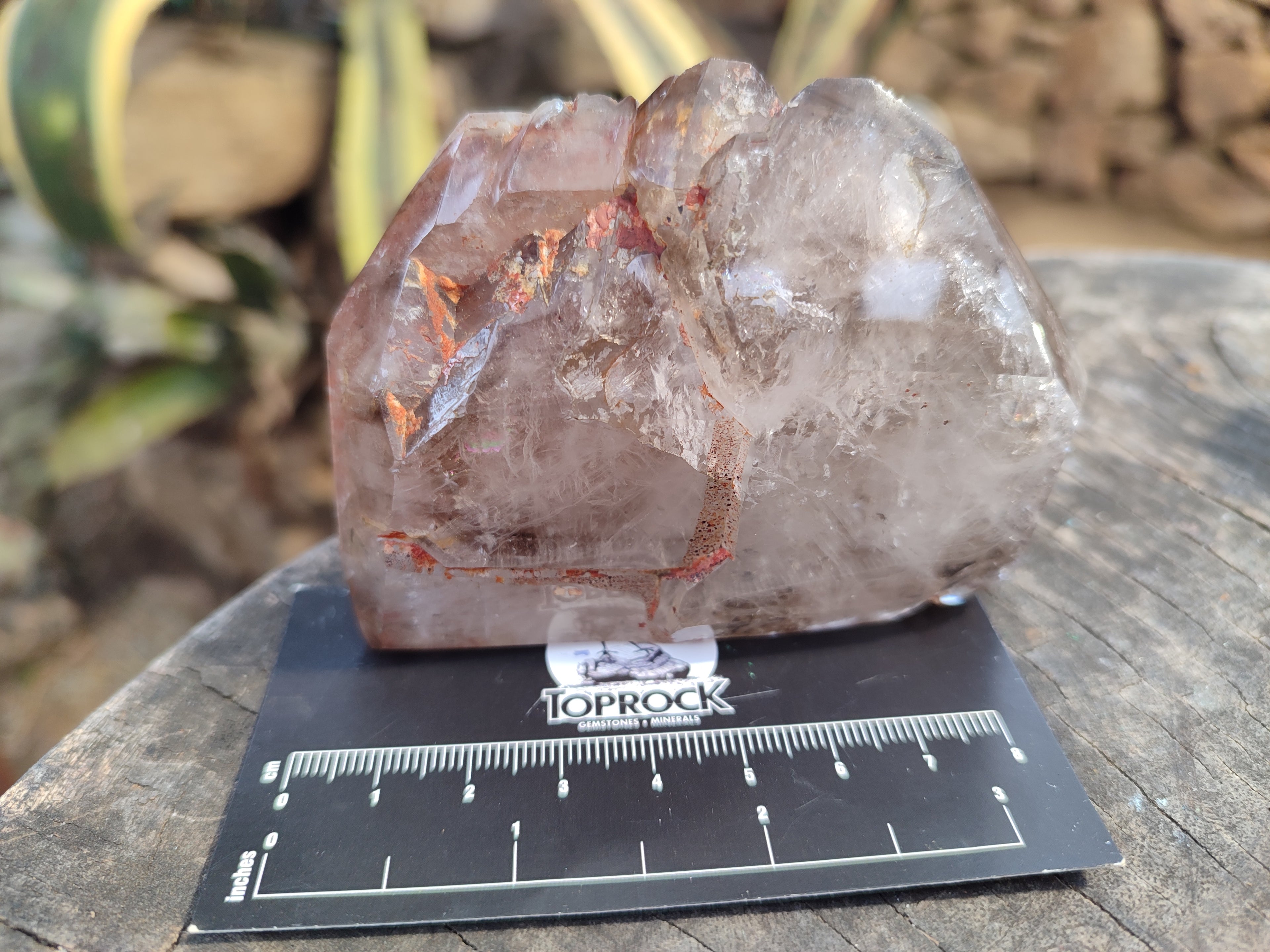 Polished Smokey Window Quartz Crystals x 6 From Madagascar - Toprock Gemstones and Minerals 