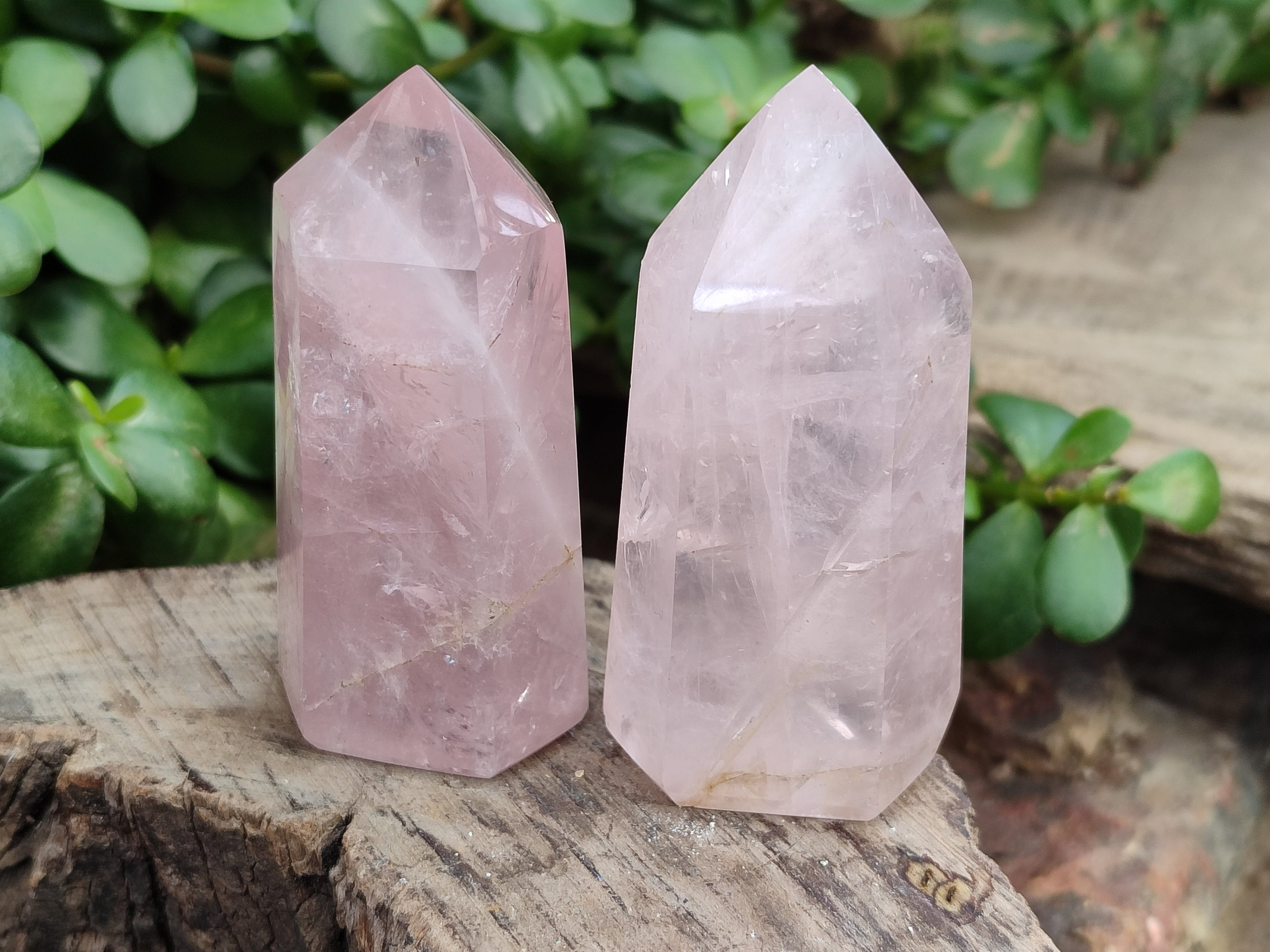Polished Rose Quartz Points x 6 From Ambatondrazaka, Madagascar - Toprock Gemstones and Minerals 