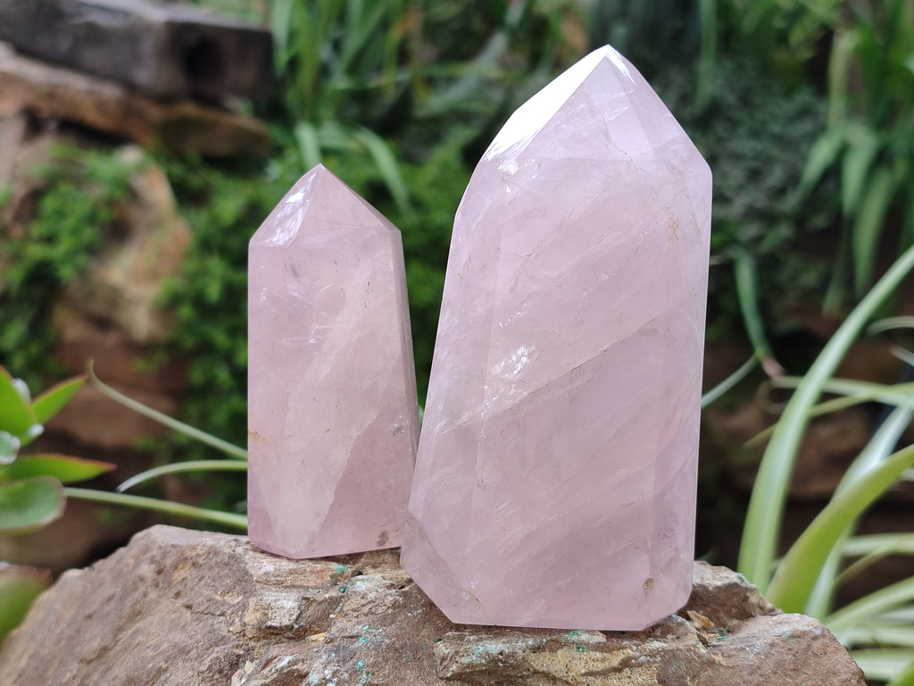 Polished Rose Quartz Points x 6 From Ambatondrazaka, Madagascar - Toprock Gemstones and Minerals 
