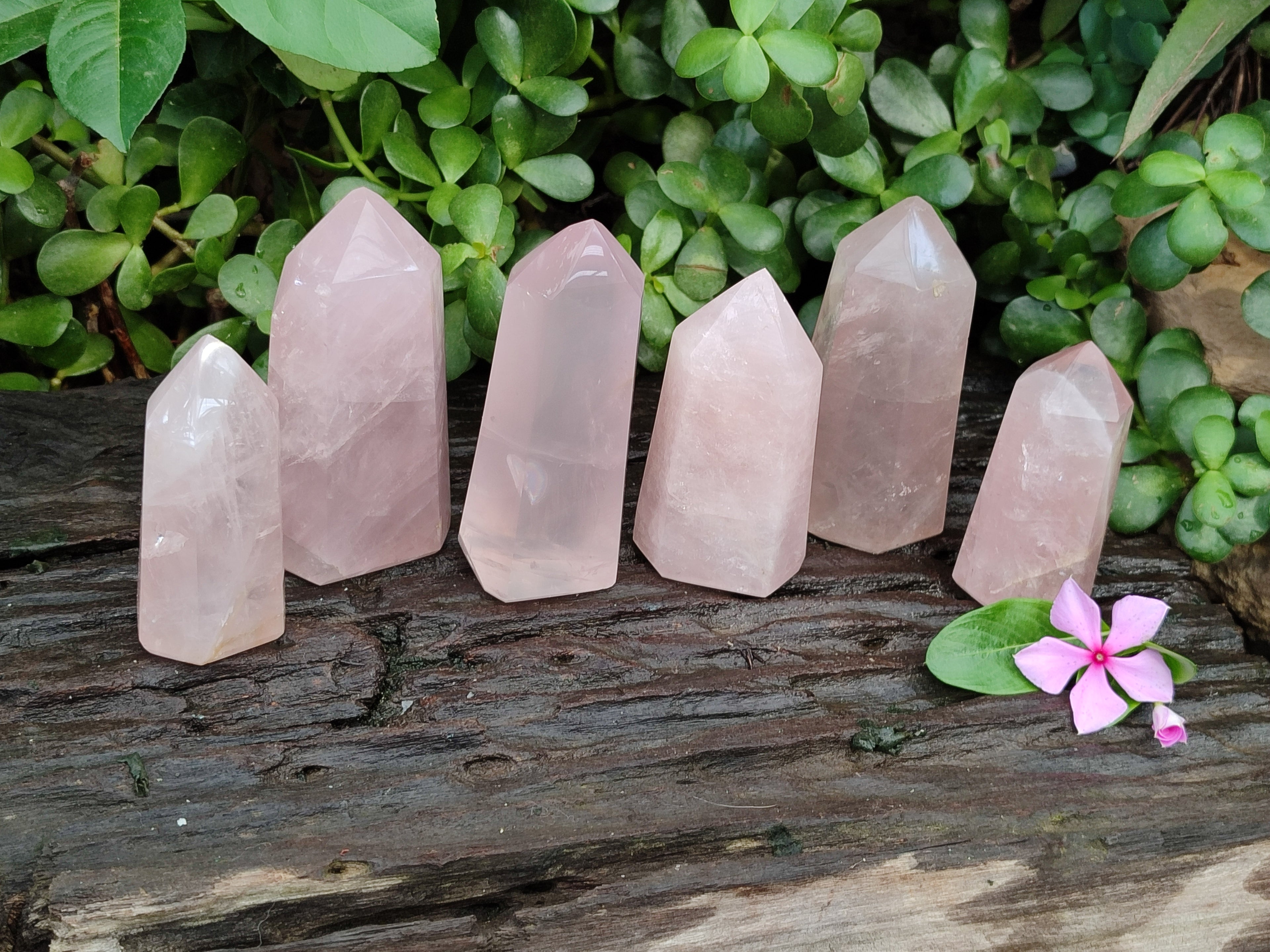 Polished Rose Quartz Points x 6 From Ambatondrazaka, Madagascar - Toprock Gemstones and Minerals 