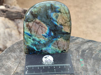 Polished Labradorite Standing Free Forms x 2 From Tulear, Madagascar - Toprock Gemstones and Minerals 