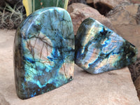 Polished Labradorite Standing Free Forms x 2 From Tulear, Madagascar - Toprock Gemstones and Minerals 