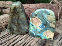 Polished Labradorite Standing Free Forms x 2 From Tulear, Madagascar - Toprock Gemstones and Minerals 