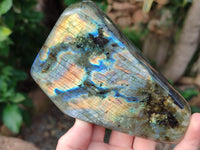 Polished Labradorite Standing Free Forms x 2 From Tulear, Madagascar - Toprock Gemstones and Minerals 