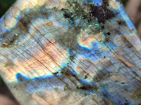 Polished Labradorite Standing Free Forms x 2 From Tulear, Madagascar - Toprock Gemstones and Minerals 