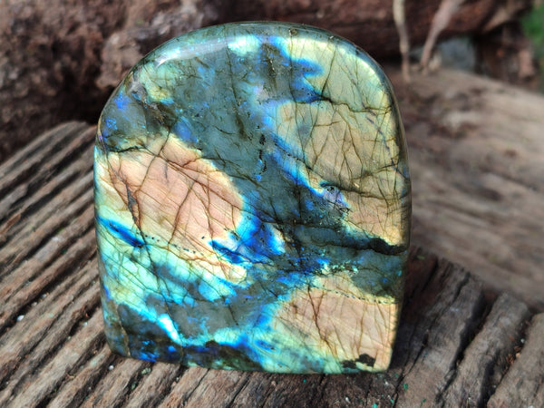 Polished Labradorite Standing Free Forms x 2 From Tulear, Madagascar - Toprock Gemstones and Minerals 